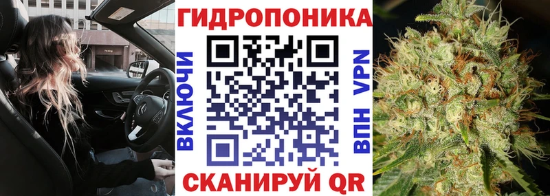 Купить закладки  Починок  Марихуана OG Kush 
